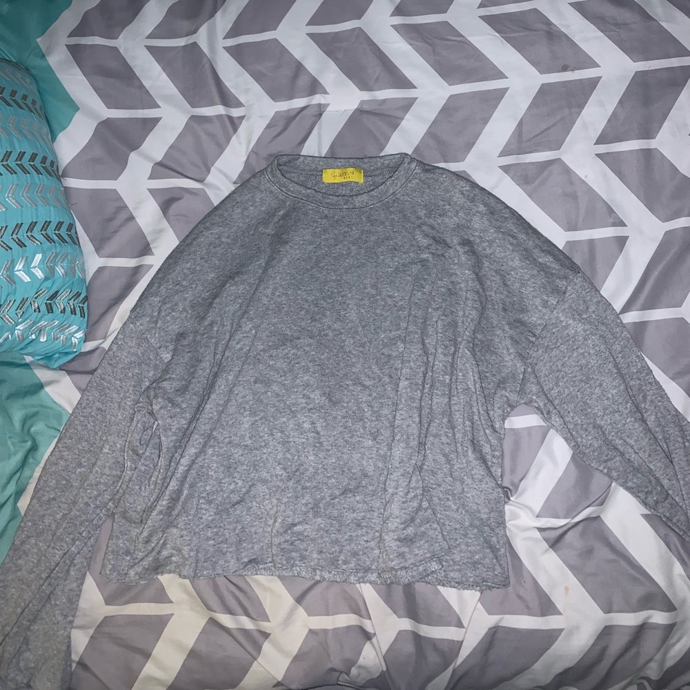 Gray Cropped Sweatshirt